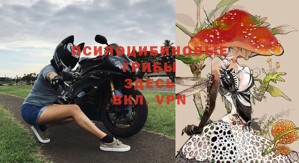 синтетический гашиш Щигры