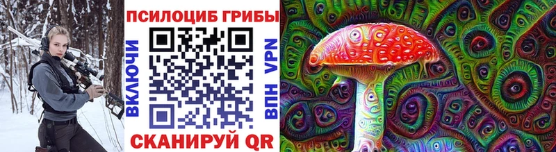 Купить где  Яровое  Галлюциногенные грибы Cubensis 